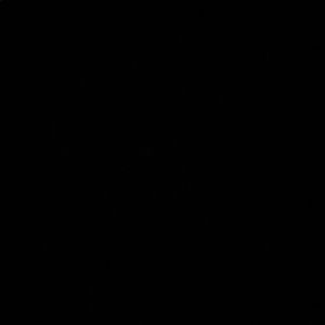 Meet your Posher, Madeline